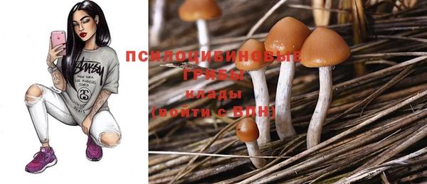 кокаин колумбия Богородицк