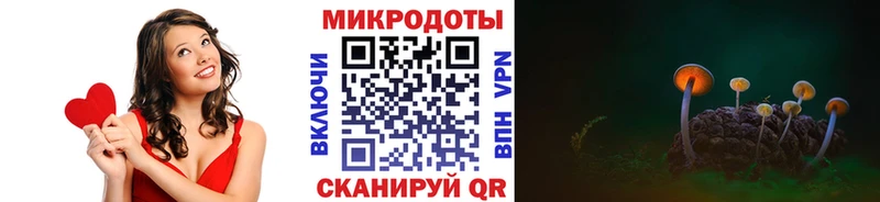 дарнет шоп  Белинский  Галлюциногенные грибы MAGIC MUSHROOMS 